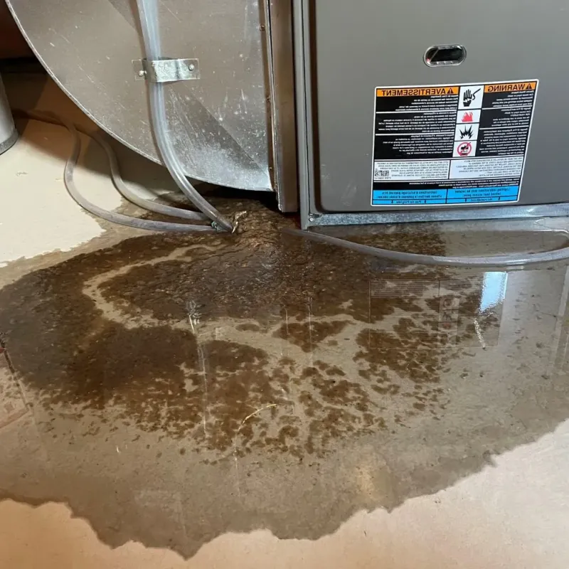 Pipe Burst and Leak Restoration in Chariton County, MO